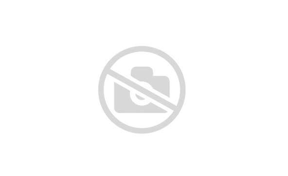 Искусственные шубы с шалевым воротником